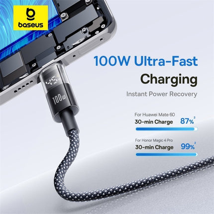 Baseus Cable USB-C to USB-A Display 2 Series Braided 100W 1.0m Black