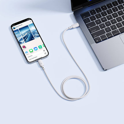 Baseus Cable Lightning to USB-C Silky Series 1.0m White