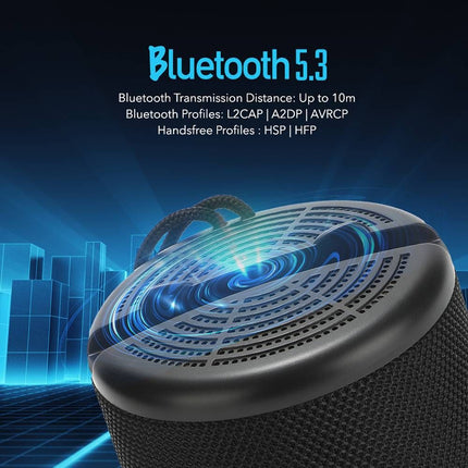 AudioBox 2GO-Dock100 Portable BT/FM Speaker with Dock Black