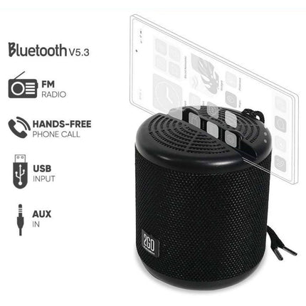 AudioBox 2GO-Dock100 Portable BT/FM Speaker with Dock Black