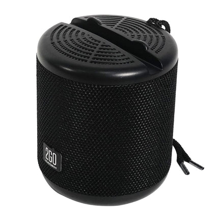 AudioBox 2GO-Dock100 Portable BT/FM Speaker with Dock Black