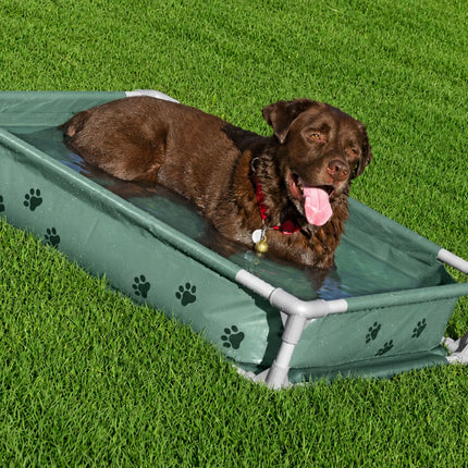Bestway Fetchin’ n Fun 2 σε 1 Πισίνα Παιχνιδιού και Υπερυψωμένο Κρεβάτι Κατοικιδίων Έως 45 kg 561RG