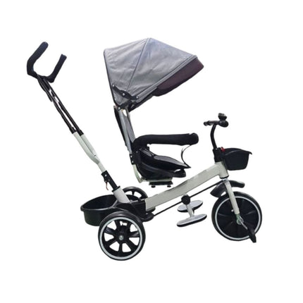 Παιδικό Τρίκυκλο Ποδήλατο με Αναστρέψιμο Κάθισμα και Γονική Λαβή 10+ Μηνών Γκρι