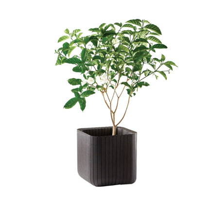KETER Πλαστική Γλάστρα Κύβος M 40cm 612079 Καφέ