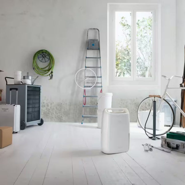 DeLonghi Αφυγραντήρας 250W για Χώρους έως 45m² με Λειτουργία Στεγνώματος Ρούχων DEX210SF Λευκό