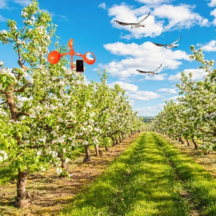 Ηλιακό Απωθητικό για Πουλιά και Παράσιτα με Κίνησή και Ήχο