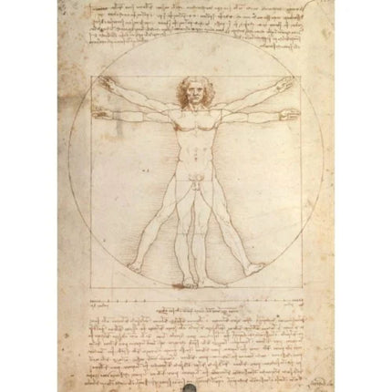 Ravensburger Puzzle Da Vinci Μελέτη 2D 1000 Κομμάτια