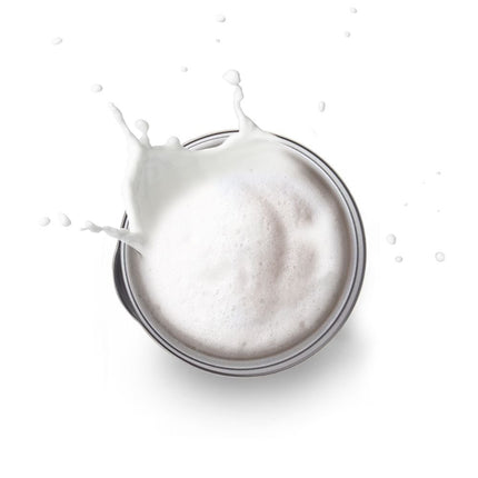 Pyrex SB-130 Συσκευή για Αφρόγαλα 300ml Μαύρο