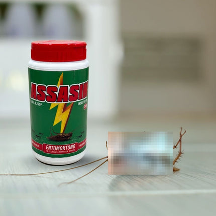 Assasin Έτοιμη προς Χρήση Εντομοκτόνος Σκόνη 250gr για Βαδιστικά Έντομα