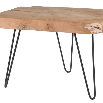 Ξύλινο Τραπεζάκι Σαλονιού με μεταλλικό σκελετό, 50x40x37 cm, Teak End Table – Aria Trade