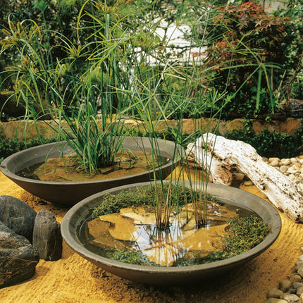 Crescent Montana Bowl Πλαστική Χαμηλή Γλάστρα 24'' Λευκό