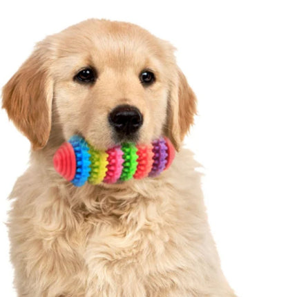 Παιχνίδι Μασήματος για Σκύλους και Κουτάβια Πολύχρωμο