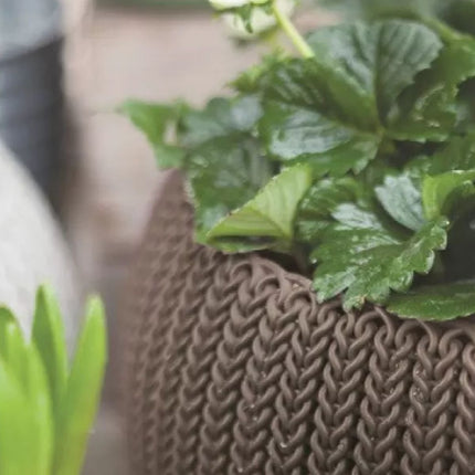 Keter Cozy Rattan Πλαστική Γλάστρα Κρεμαστή S 28x18cm με Αλυσίδα Στερλεωσης 612092 Καφέ
