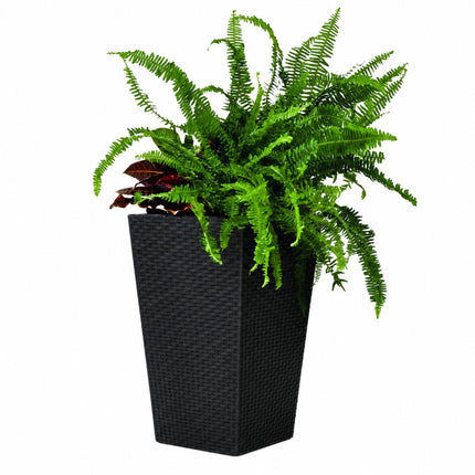 KETER Rattan Style Γλάστρα S 43.5cm με Διπλό Τοίχωμα 612051 Ανθρακί