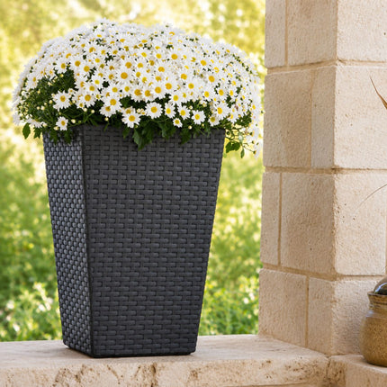 KETER Rattan Style Γλάστρα M 57cm με Διπλό Τοίχωμα 612061 Ανθρακί