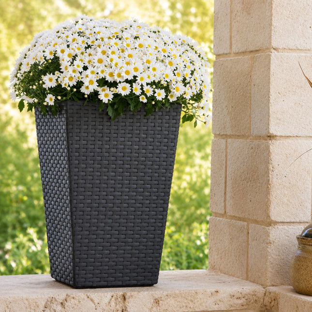 KETER Rattan Style Γλάστρα M 57cm με Διπλό Τοίχωμα 612061 Ανθρακί