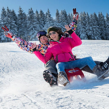 ROLLY TOYS Snow Cruiser Ανθεκτικό Παιδικό Έλκηθρο με Μεταλλικούς Δρομείς & Κλασικό Σχεδιασμό