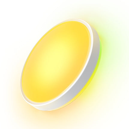 GOVEE Φωτιστικό Οροφής RGBICWW 38 cm, 4300 lm, Matter – Ceiling Light Pro H60A6C01
