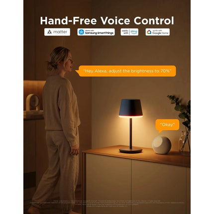 GOVEE Φορητό Φωτιστικό RGBICWW 500 lm, 4800 mAh Table Lamp Classic H1741